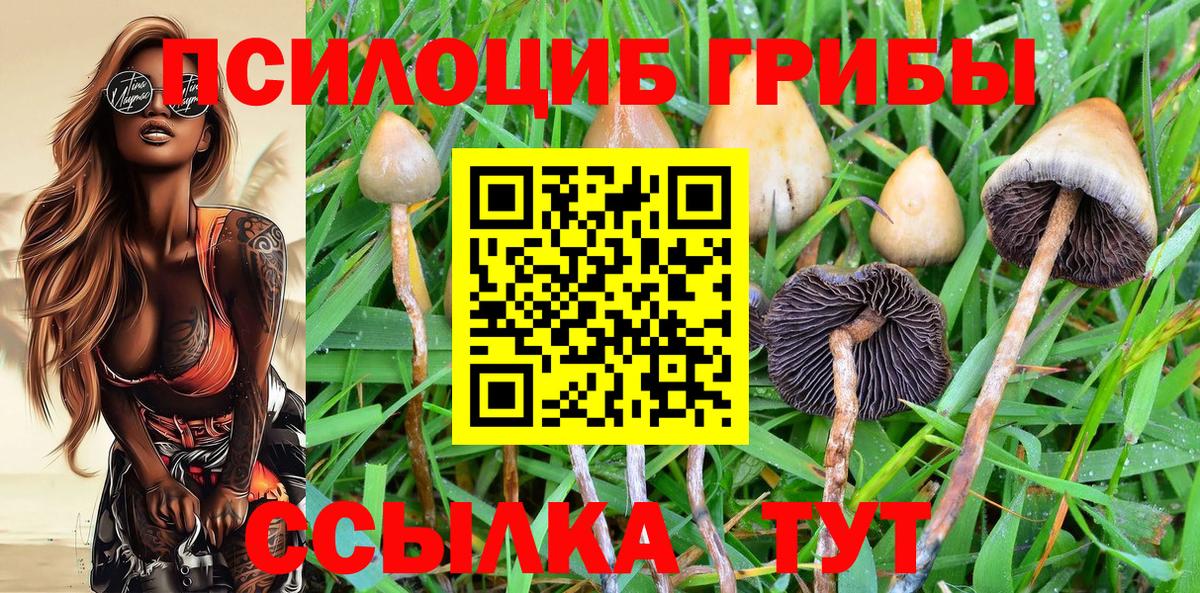 Псилоцибиновые грибы Cubensis  Псилоцибиновые грибы Magic Shrooms  Гусев  Вход с VPN 
