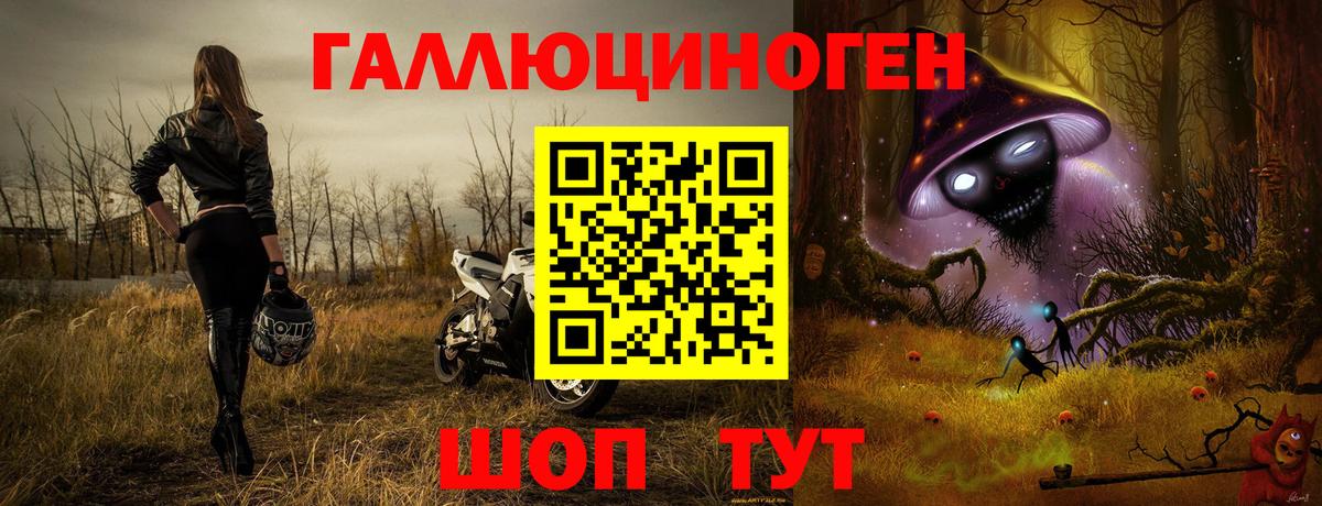 Псилоцибиновые грибы Cubensis Гусев